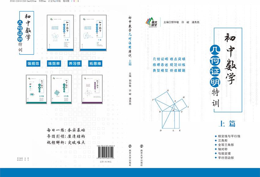 初中数学几何特训·上篇